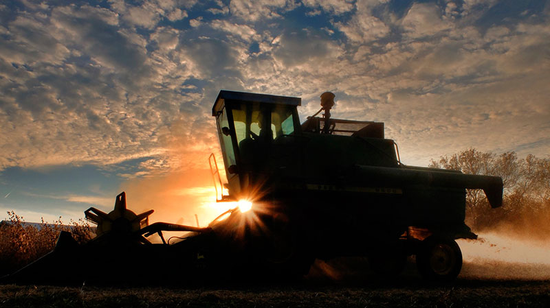 Informe del USDA estimó en 757,1 millones de toneladas de trigo la ...